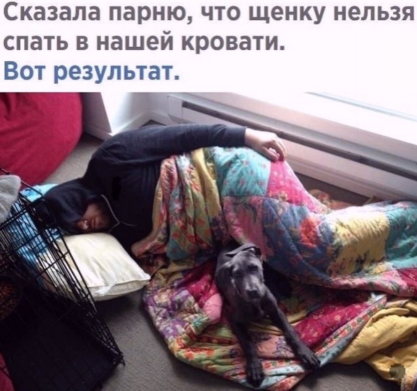 Так себе картинки 07.08.21