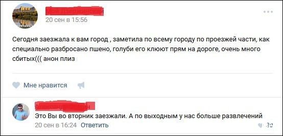 Забавные комментарии из социальных сетей (25.10.22)