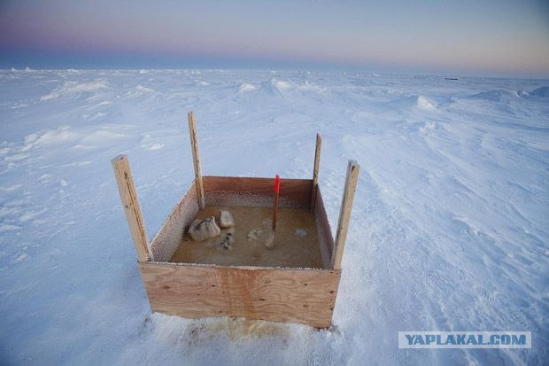 Антарктическая станция на Южном полюсе