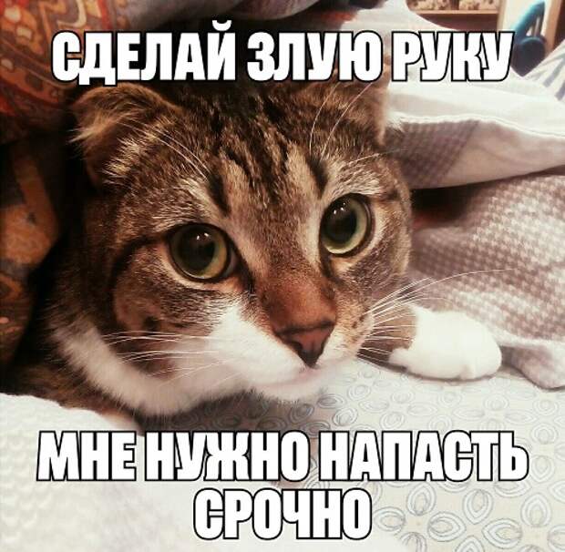 Ууу, шайтан!