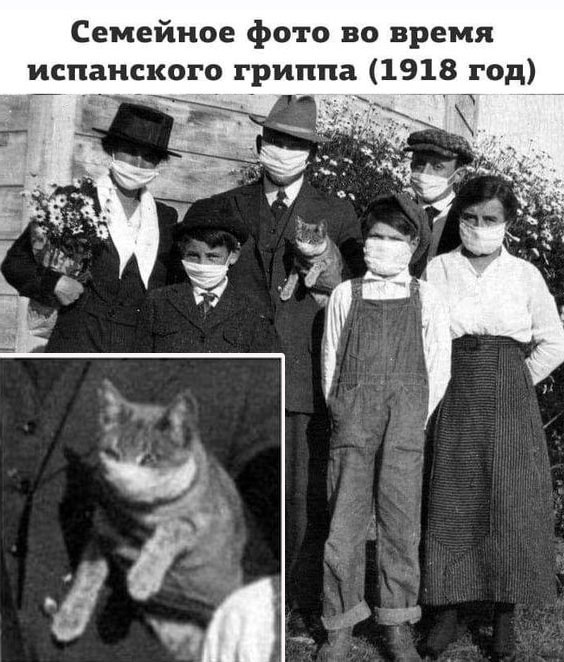 Так себе картинки 14.01.23