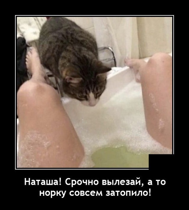 Весёлый полтишок 08.05.23
