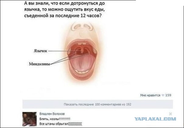 Скриншоты и комментарии из социальных сетей 02.08.23