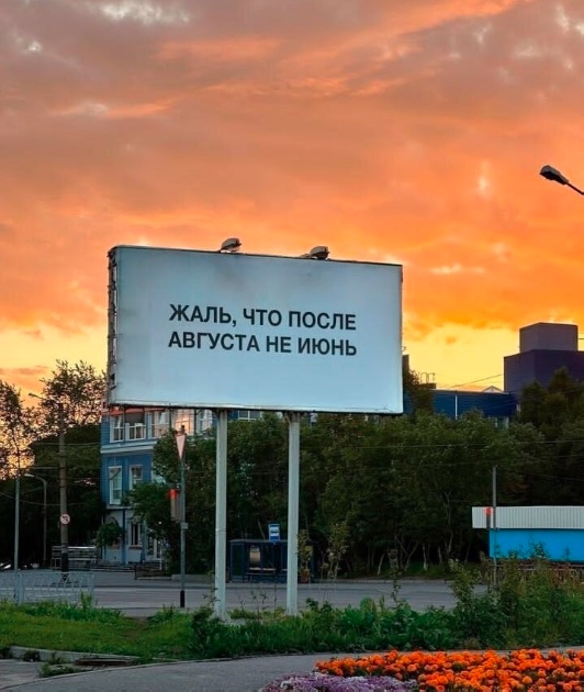 Весёлый полтишок 29.08.23