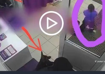 Кто виноват?