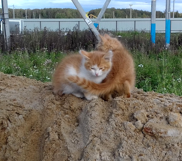 Заберите меня первым