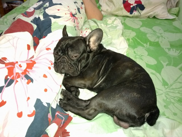 Да откройте же дверь наконец!