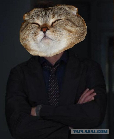 Собаки и поливочный шланг