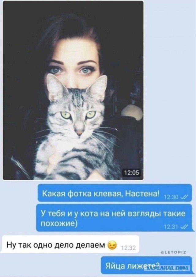 Завалялось тут случайно немного забавных картинок
