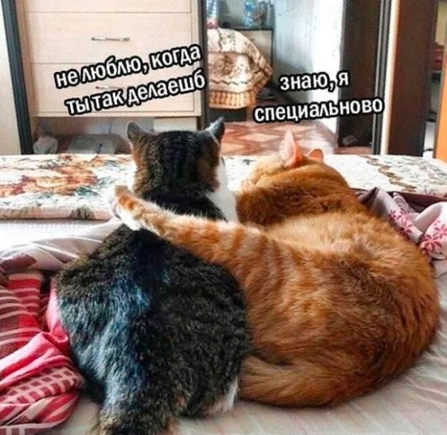 Так себе картинки 26.06.25