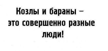 Маленькая пятница 6.08.25