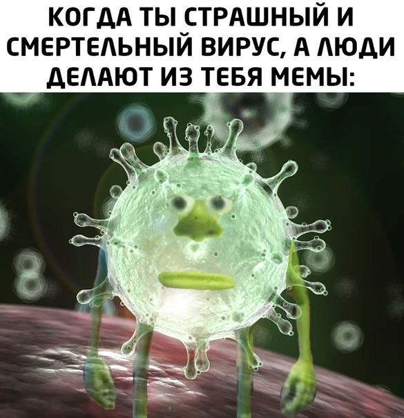 Картинки для деградации 28 (разной степени свежести)