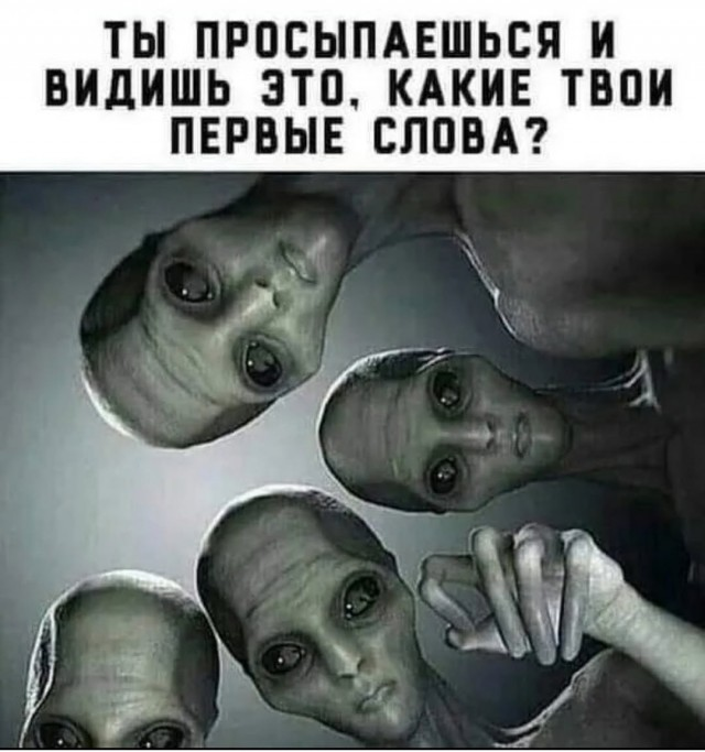 Так себе картинки 14.11.25