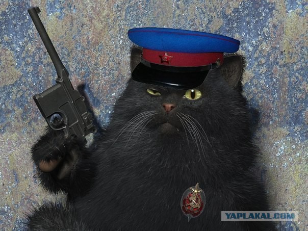 Пришли шахтёры!...