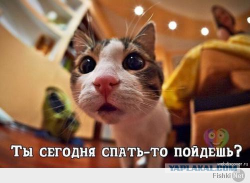 Красивая!