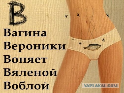 Педагоги в поезде