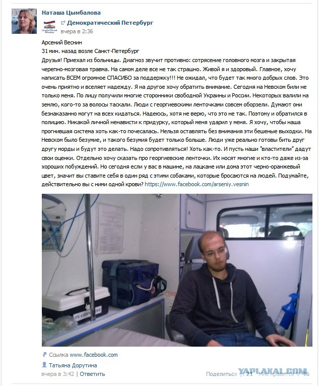 Овца с плакатами 404 в Питере
