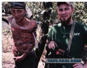 Зеленский извинился перед Кадыровым и мусульманами