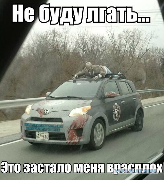 Весёлое из сети