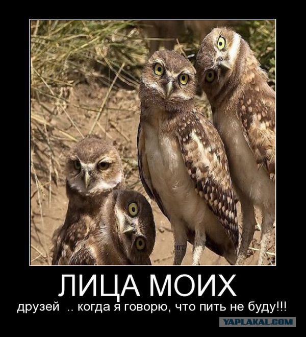 18 пятничных картинок!