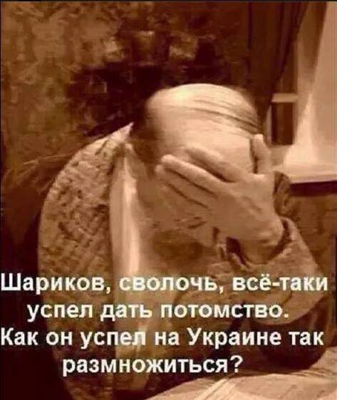 Секта в желто-синем