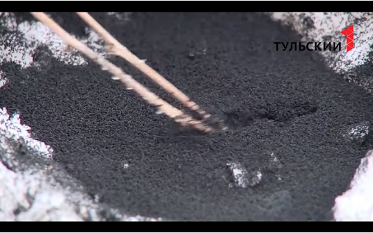 Блохи под Алексином