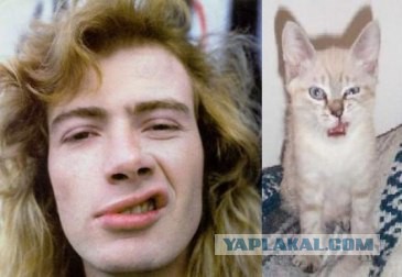 Рок-приколы