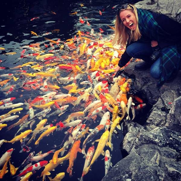 Подборка картинок 29.03.16