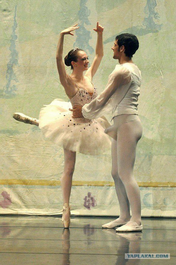 9 фактов о мужском половом органе