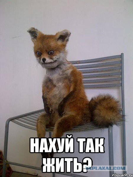 Вой подкаблучника.
