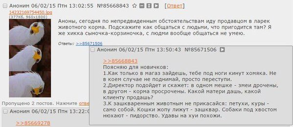 Вопрос уголовника  80 левела