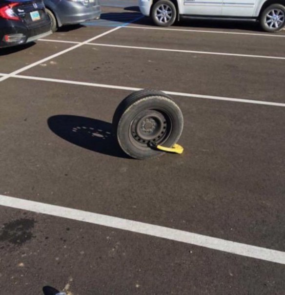 Отборный шлак со всей сети