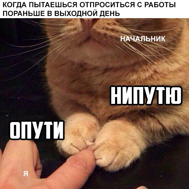 Шестое чувство