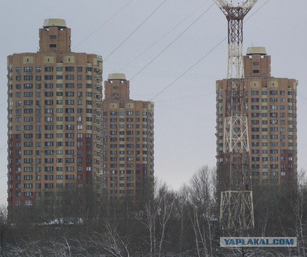 Подборка интересных и веселых картинок