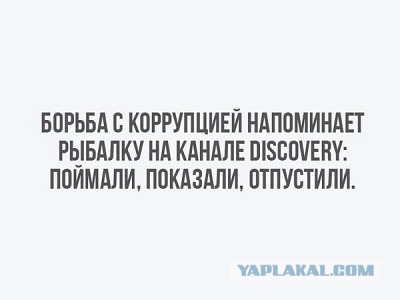 На Кубани полицейского осудили условно за взятку в 60 миллионов