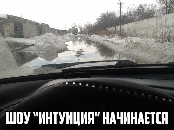 Подборка интересных и веселых картинок