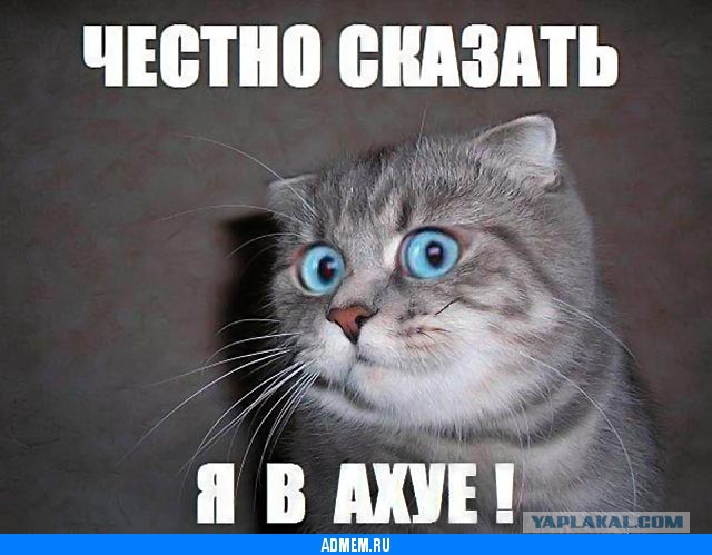 Валим! Валим! Кукурузка...
