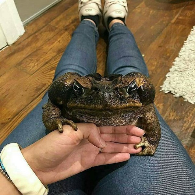 Сильным и независимым женщинам