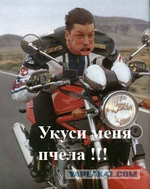Простое человеческое счастье в картинках