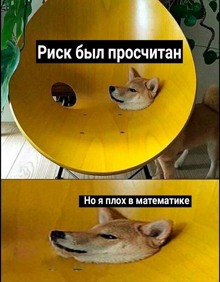 15980344.jpg