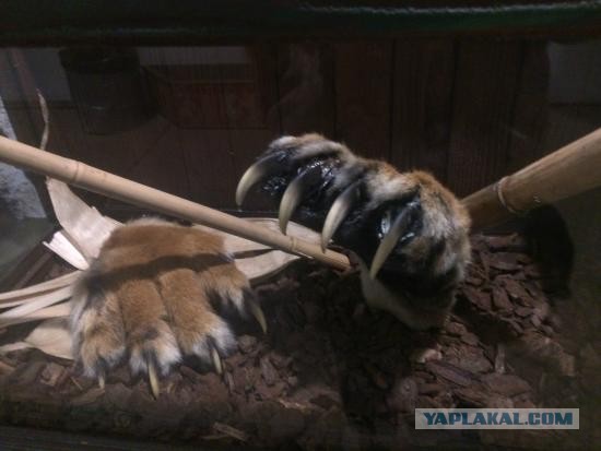 Не на тех напали