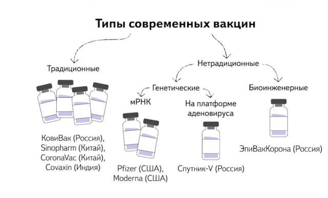 Прививайтесь говорили они