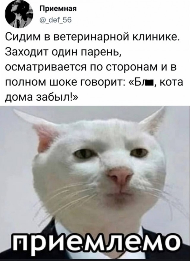 Картинка приемлемо мем