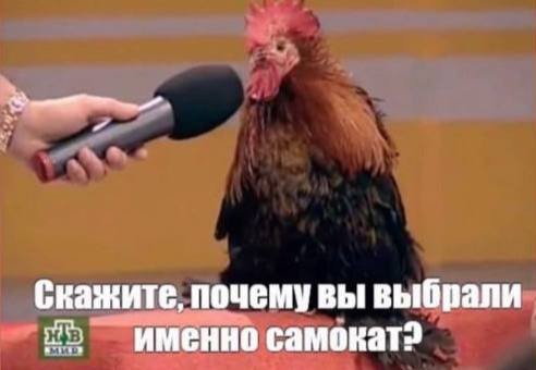 Народная меДИЧина 13.10