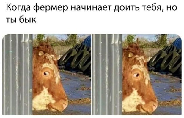 Народная меДИЧина 9011