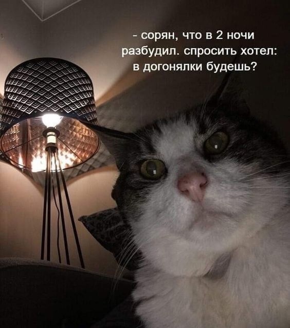 Так себе картинки 22.02.23