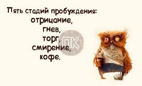 Победная поступь идиотизма по планете – том 14