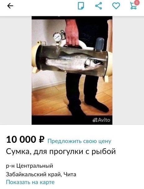 18930344.jpg