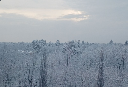 А Москву я на дух не переношу