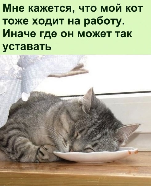 Так себе картинки 12.01.25